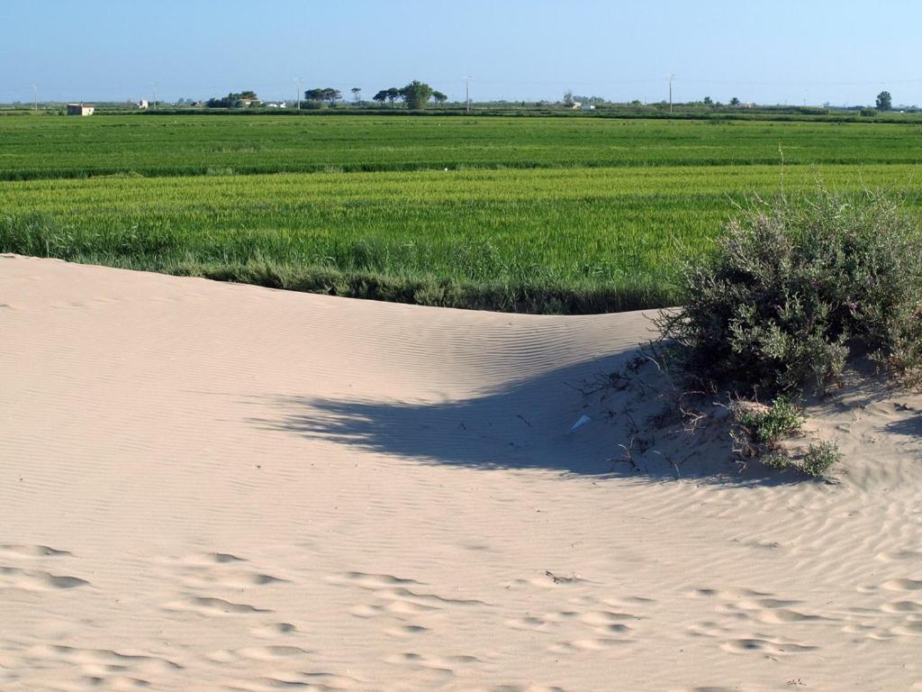 Les Delicies - Atico En Primera Linea De Mar Sant Carles De La Rapita